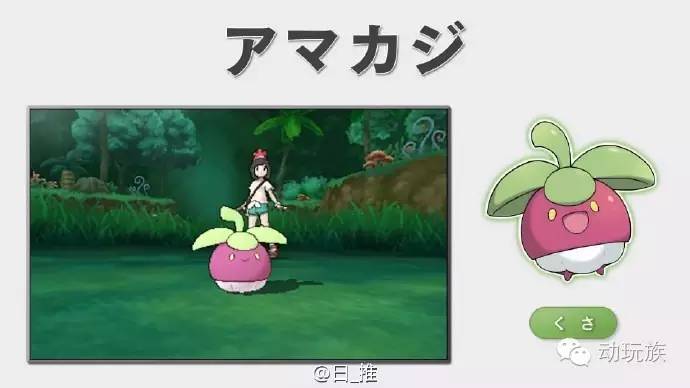 精灵宝可梦日月03-05,精灵宝可梦日月小智vs库库伊博士