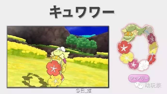 精灵宝可梦日月03-05,精灵宝可梦日月小智vs库库伊博士