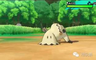 精灵宝可梦日月03-05,精灵宝可梦日月小智vs库库伊博士