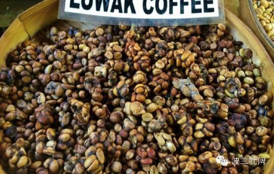 土豆每500克3元买2千克要多少钱,土豆每公斤107元