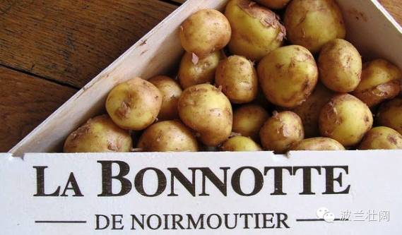 土豆每500克3元买2千克要多少钱,土豆每公斤107元