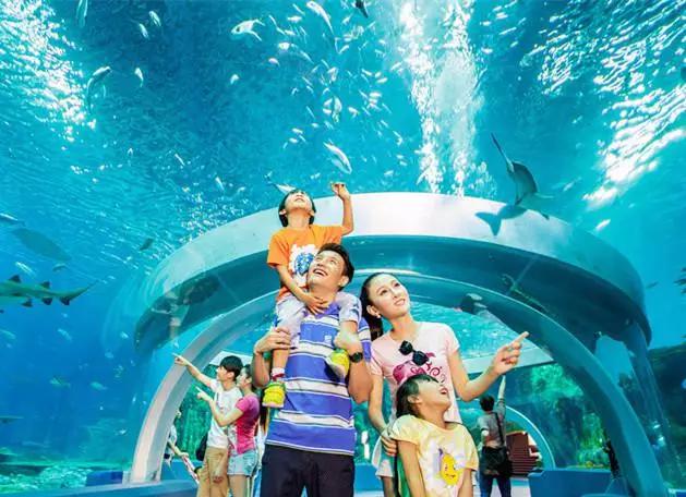 迪士尼一家三口自助游攻略,迪士尼幼儿园旅游攻略