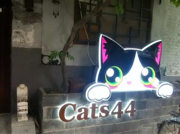 京城那些萌哒哒的地方,即使去千遍也不厌倦