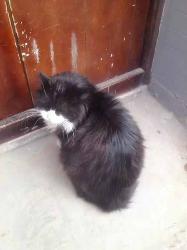 京城那些萌哒哒的地方,即使去千遍也不厌倦