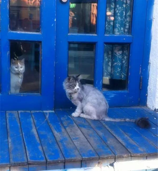 京城那些萌哒哒的地方,即使去千遍也不厌倦