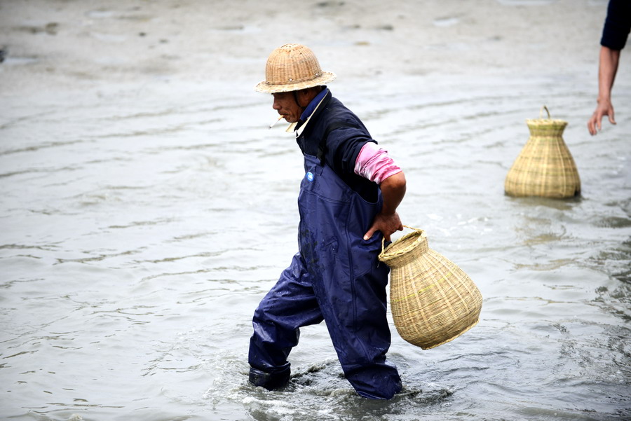 云霄海鲜美食节，干塘激情上演“浑水摸鱼”，女人免费摸
