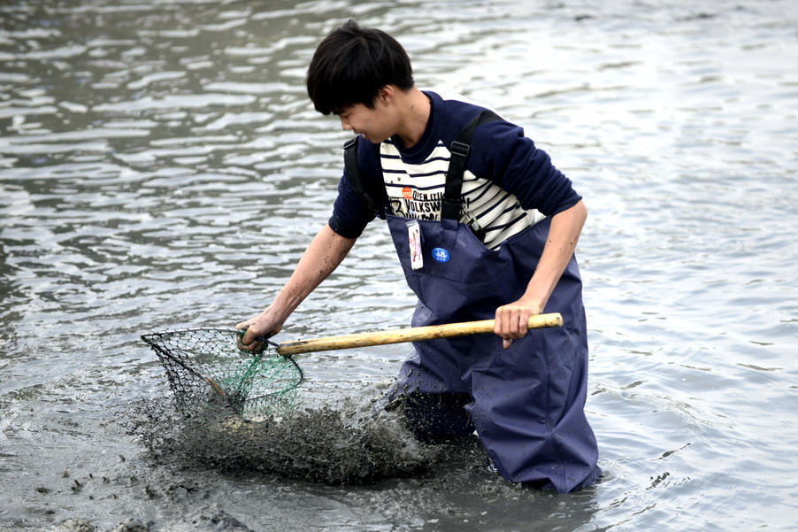 云霄海鲜美食节，干塘激情上演“浑水摸鱼”，女人免费摸