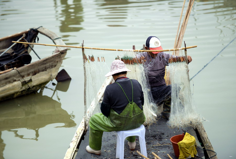 云霄海鲜美食节，干塘激情上演“浑水摸鱼”，女人免费摸