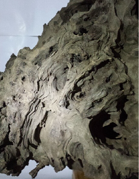 真正金丝楠有多难得,最普通的金丝楠