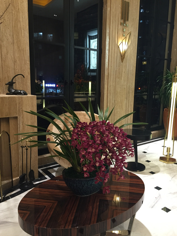 重庆观音桥附近好吃的火锅,重庆火锅菜品大全100种