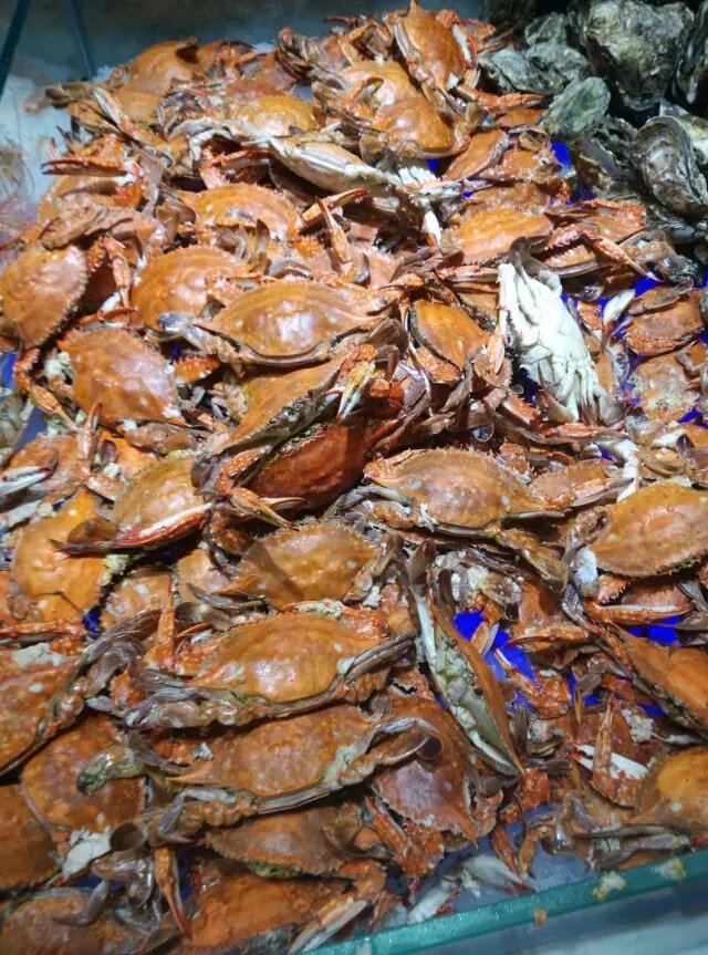 好伦哥海鲜自助长江广场店,好伦哥海鲜自助北京旗舰店