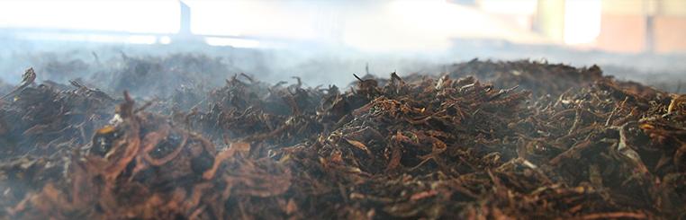 茶有五行喝茶更健康,茶中蕴五行以茶养生有讲究