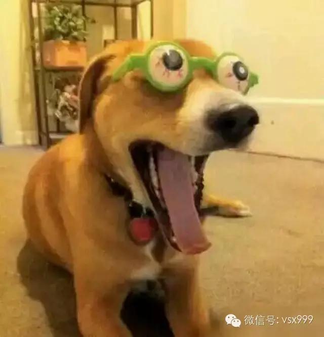 超内涵笑话第87期:萝莉有三好,柔体轻音易推倒