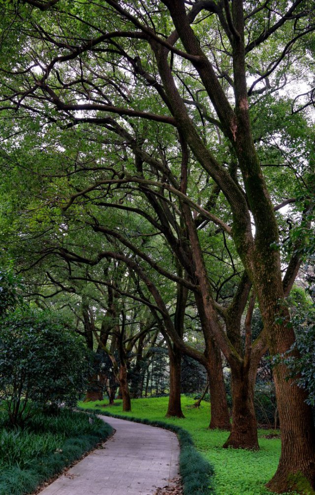 探索上海,上海西郊宾馆地址
