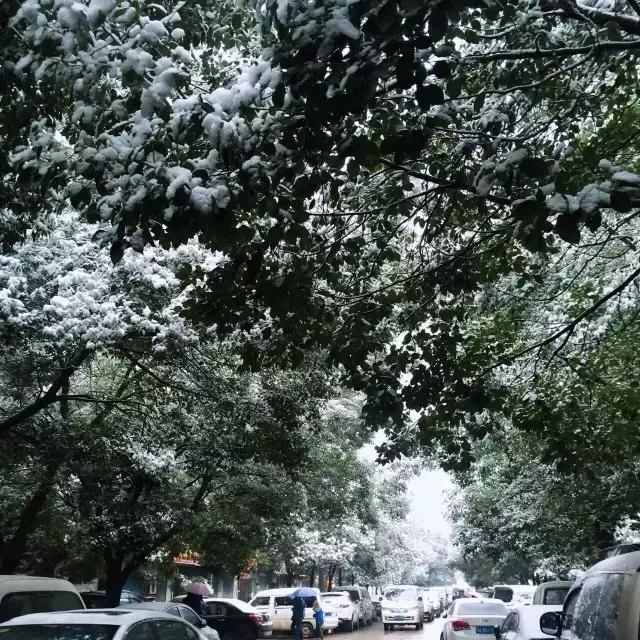 武汉一夜之间白了头，这回终于有得玩了！