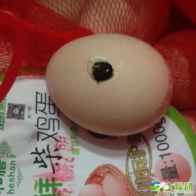 濮阳一商超现假鸡蛋,煮熟之后蛋黄似胶质,看你遇到过吗?