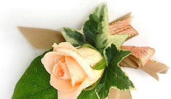 118朵花这个数字有什么寓意,118种花的花语合集图片