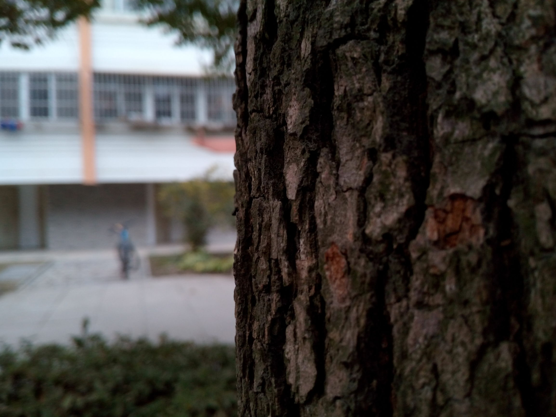 青葱metal手机拆机,未来千元手机