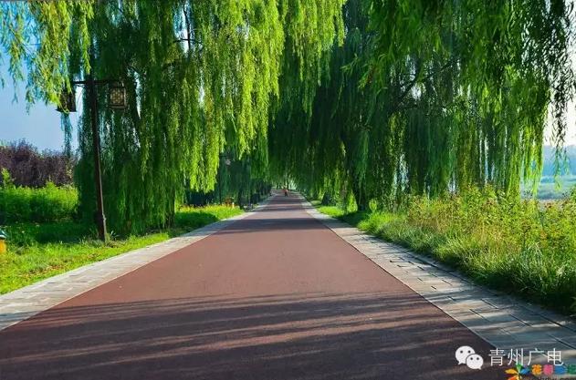 从不羡慕北上广，我在青州挺好的！