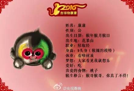 能与美猴王媲美的猴子,真正的美猴王有多强