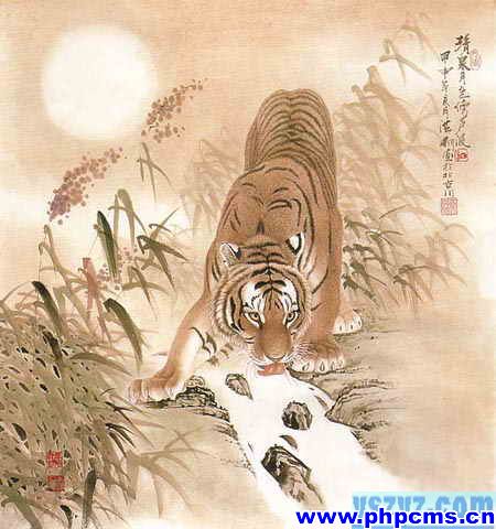 工笔虎技法,工笔虎教学