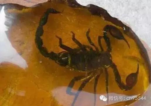 文玩骗局揭秘套路,文玩十大坑人骗局