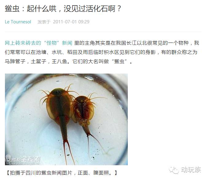 精灵宝可梦日月03-05,精灵宝可梦日月小智vs库库伊博士