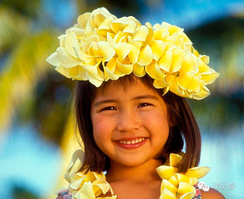 精灵宝可梦日月03-05,精灵宝可梦日月小智vs库库伊博士