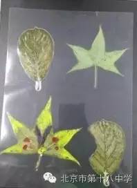 动态|长空任翱翔夏令营系列报道第三波向你袭来~