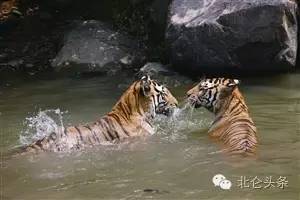 台风最新消息受到台风影响的市县,北仑区受台风影响