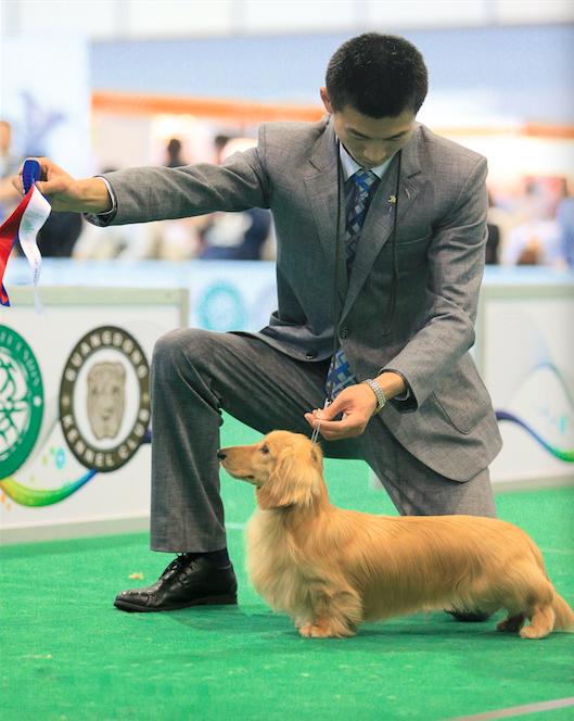 showtime剧情介绍,showtime剧情讲解