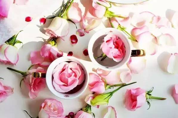 十二星座的狮子座最爱的是什么,狮子座是十二星座最可爱的吗