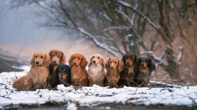 showtime剧情介绍,showtime剧情讲解