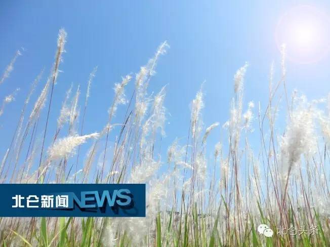 台风最新消息受到台风影响的市县,北仑区受台风影响