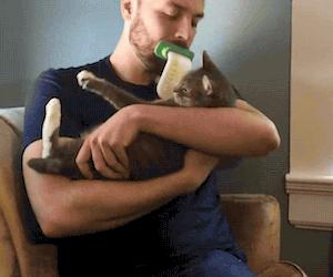 鐙楃嫍鑰佹槸鑸旀瘺鑸旂殑鍦版柟鏄孩鑹茬殑,鐚挭鑸旀瘺鑸旂殑鐗瑰埆鍕ゅ睘浜庢甯稿悧