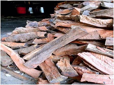 东莞大岭山荔枝柴烧鹅视频,大岭山荔枝烧鹅