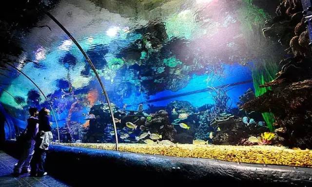 辽宁景点门票,辽宁省景点大全一览表