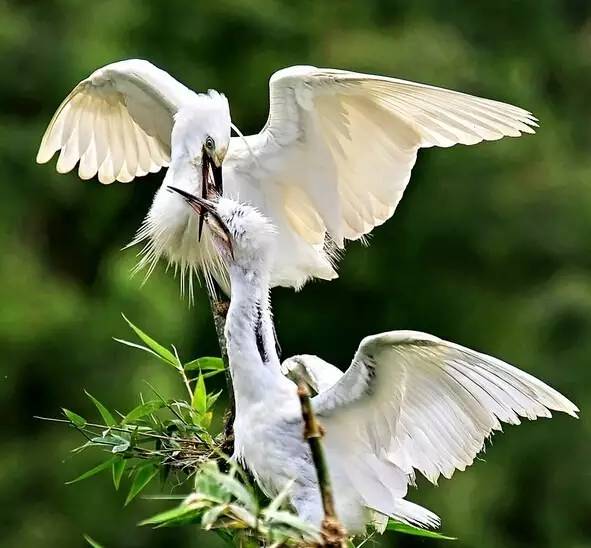 辽宁景点门票,辽宁省景点大全一览表