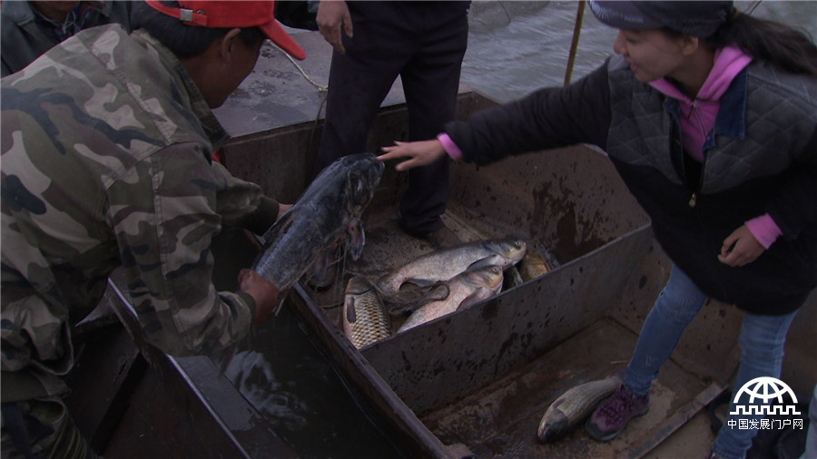 致富经养鱼一年多卖1000万,致富经一亩地赚过亿