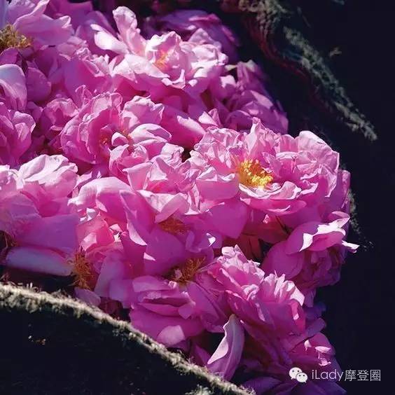 新一代“迪奥小姐”邀你重回墨山城堡！要来体验吗？