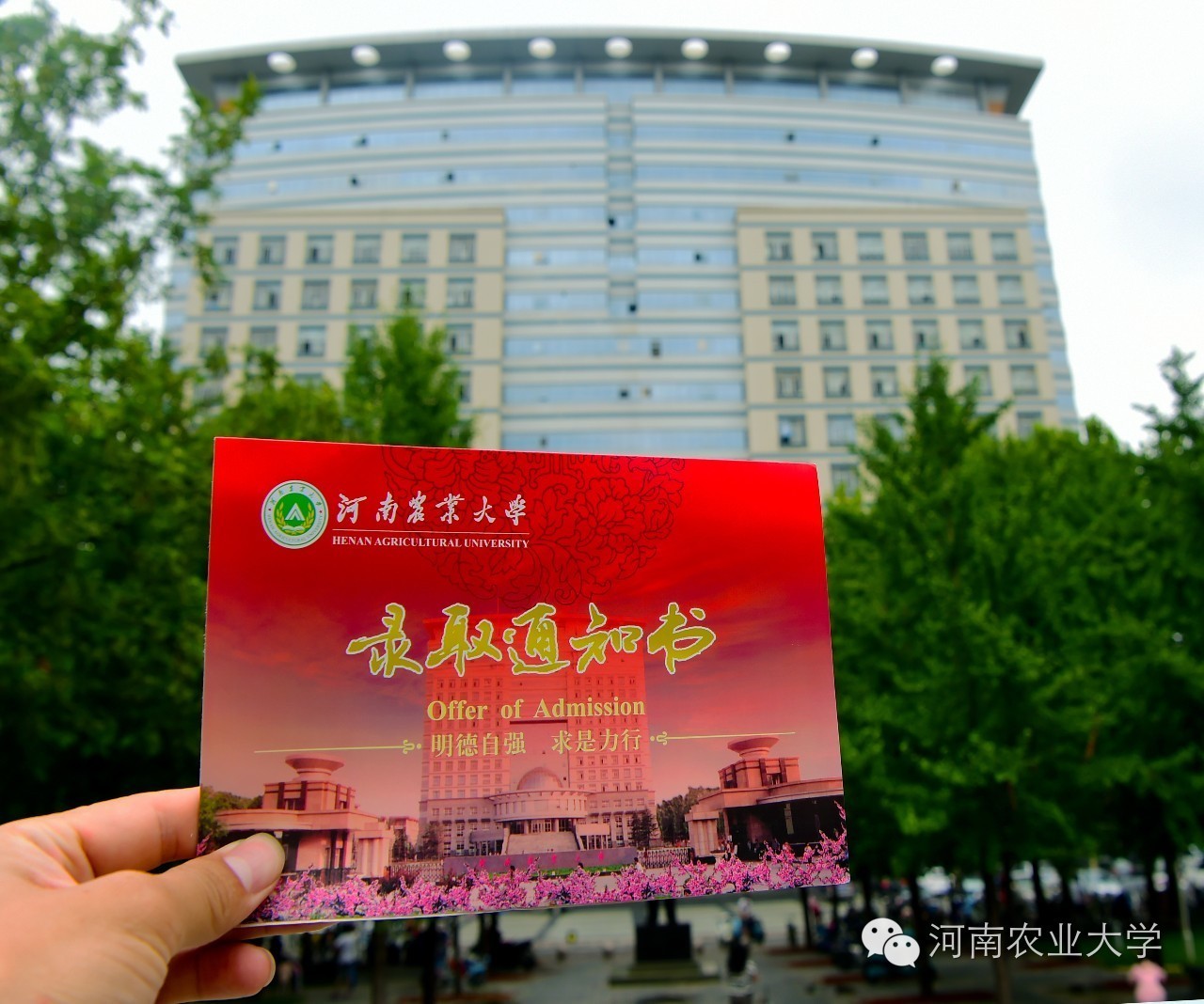 江西农大录取通知书抖音视频,中国农大录取通知书样子