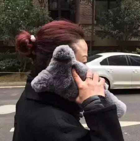 通州建设3年前和通州擦身而过的宜家又有戏了？网传选址潞城！