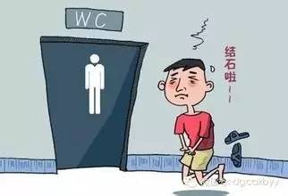 夏天,别让您的“下水道”总长石头