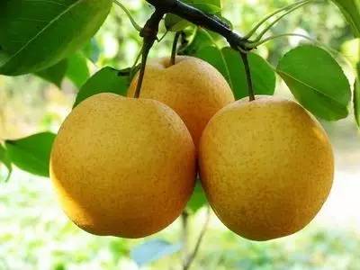 西瓜可以清热降火吗,清热解毒水果西瓜能吃吗