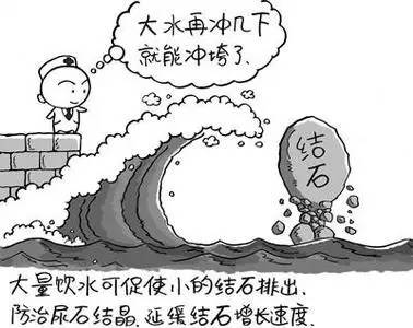 夏天,别让您的“下水道”总长石头