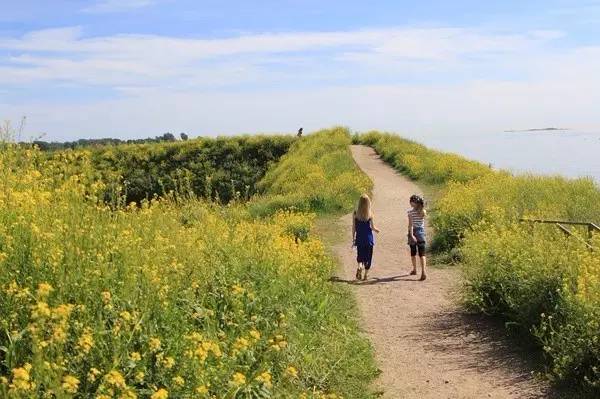 芬兰首都赫尔辛基,赫尔辛基24小时地铁