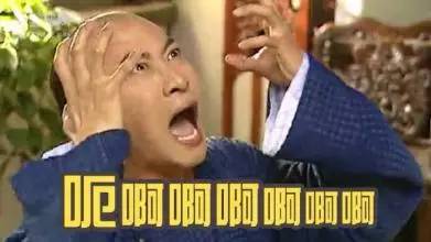 omg成员都在哪直播,omg娱乐圈