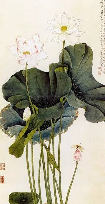 名家国画黄永玉先生的荷花,历代国画荷花作品图片及价格