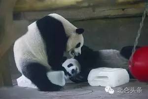 台风最新消息受到台风影响的市县,北仑区受台风影响