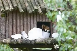 台风最新消息受到台风影响的市县,北仑区受台风影响